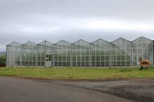 how-greenhouses-work